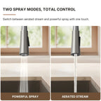 Pull Down Single Handle Kitchen Faucet with Dual Function LP0998-CF - Stainless Steel