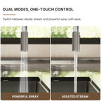 Dual Function Pull-Down Kitchen Faucet , Single Handle Sink Faucet LP0331229-CF - Brushed Nickel
