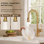 Pull-Down Single Handle Kitchen Faucet with High-Arc Spout LP0667-CF - Brushed Gold