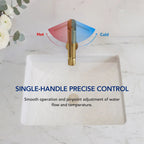 Single-Hole Single-Handle Bathroom Sink Faucet with Drain Assembly LP6603123-YS - Brushed Gold