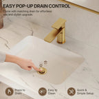 Single Hole Bathroom Faucet with Drain Assembly, Single Handle Bathroom Sink Faucet LP0091023-YS - Brushed Gold