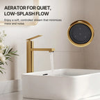 Single Hole Vessel Bathroom Faucet, Single Handle Vessel Bathroom Sink Faucet with Drain Assembly LP00985-YS - Brushed Gold