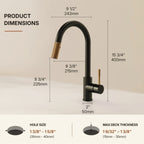 Dual Function Pull-Down Kitchen Faucet , Single Handle Sink Faucet LP9911606-CF - Matte Black
