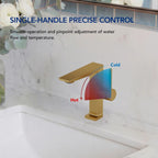 Single Hole Bathroom Faucet with Drain Assembly, Single Handle Bathroom Sink Faucet LP55789-YS- Brushed Gold