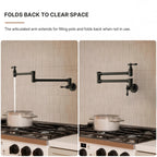 Wall Mount Swing Arm Folding Pot Filler Kitchen Faucet, 2-Handle Kitchen Faucet for Stove Use LP98-CF - Matte Black