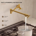 Wall Mount Pot Filler Faucet with Retractable Arm, 2-Handle Kitchen Faucet for Stove Use LP170-CF - Brushed Gold