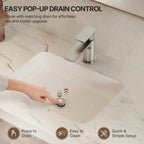 Single Hole Bathroom Faucet with Drain Assembly, Single Handle Bathroom Sink Faucet LP001023-YS - Brushed Nickel