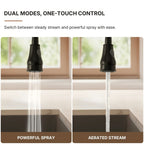 Pull-Down Kitchen Faucet with Deck Plate, Single Handle Sink Faucet with Sprayer LP099123-CFK- Matte Black