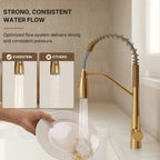 Commercial Dual-Function Pull Down Kitchen Faucet with High Arc Spring Spout LP03345-CF - Brushed Gold