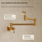 Brass Wall-Mount Pot Filler Kitchen Faucet with Swing Arms LP15W-CF - Brushed Gold
