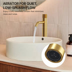 Single Hole Bathroom Vessel Faucet, Single Handle Bathroom Vessel Sink Faucet with Drain Assembly LP0223144-YS - Brushed Gold