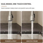 Commercial Style Dual Function Single Handle Pull Down Kitchen Faucet LP051-CF - Stainless Steel
