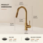 Dual Function Pull-Down Kitchen Faucet , Single Handle Sink Faucet LP013321-CF - Brushed Gold