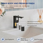 Single Hole Bathroom Faucet with Drain Assembly, Single Handle Bathroom Sink Faucet LP44319-YS - Matte Black