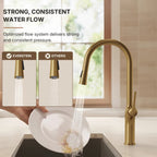 Pull Down Single Handle Kitchen Faucet with Dual Function LP0996-CF - Brushed Gold