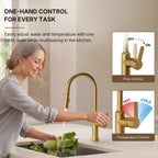 Pull-Down Kitchen Faucet with Dual-Function Sprayer, Single-Handle Sink Faucet LPL099122-CF - Brushed Gold