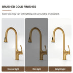 Pull-Down Single Handle Kitchen Faucet with High-Arc Spout LP0667-CF - Brushed Gold