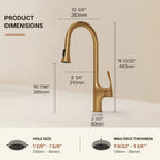 Pull-Down Single Handle Kitchen Faucet with High-Arc Spout LP0667-CF - Brushed Gold
