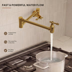 Brass Wall-Mount Pot Filler Kitchen Faucet with Swing Arms LP15W-CF - Brushed Gold