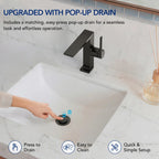 Single Hole Bathroom Faucet with Drain Assembly, Single Handle Bathroom Sink Faucet LP44319-YS - Matte Black