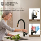 Dual Function Pull-Down Kitchen Faucet , Single Handle Sink Faucet LP9911606-CF - Matte Black