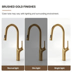 Pull Down Single Handle Kitchen Faucet with Dual Function LP0996-CF - Brushed Gold