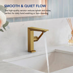 Single Hole Bathroom Faucet with Drain Assembly, Single Handle Bathroom Sink Faucet LP55789-YS- Brushed Gold