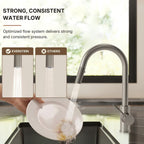 Dual Function Pull-Down Kitchen Faucet , Single Handle Sink Faucet LP0331229-CF - Brushed Nickel