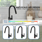 Pull Down Sprayer Kitchen Sink Faucet, Single Handle Kitchen Faucet with LED Light Base LP33031-CF - Matte Black