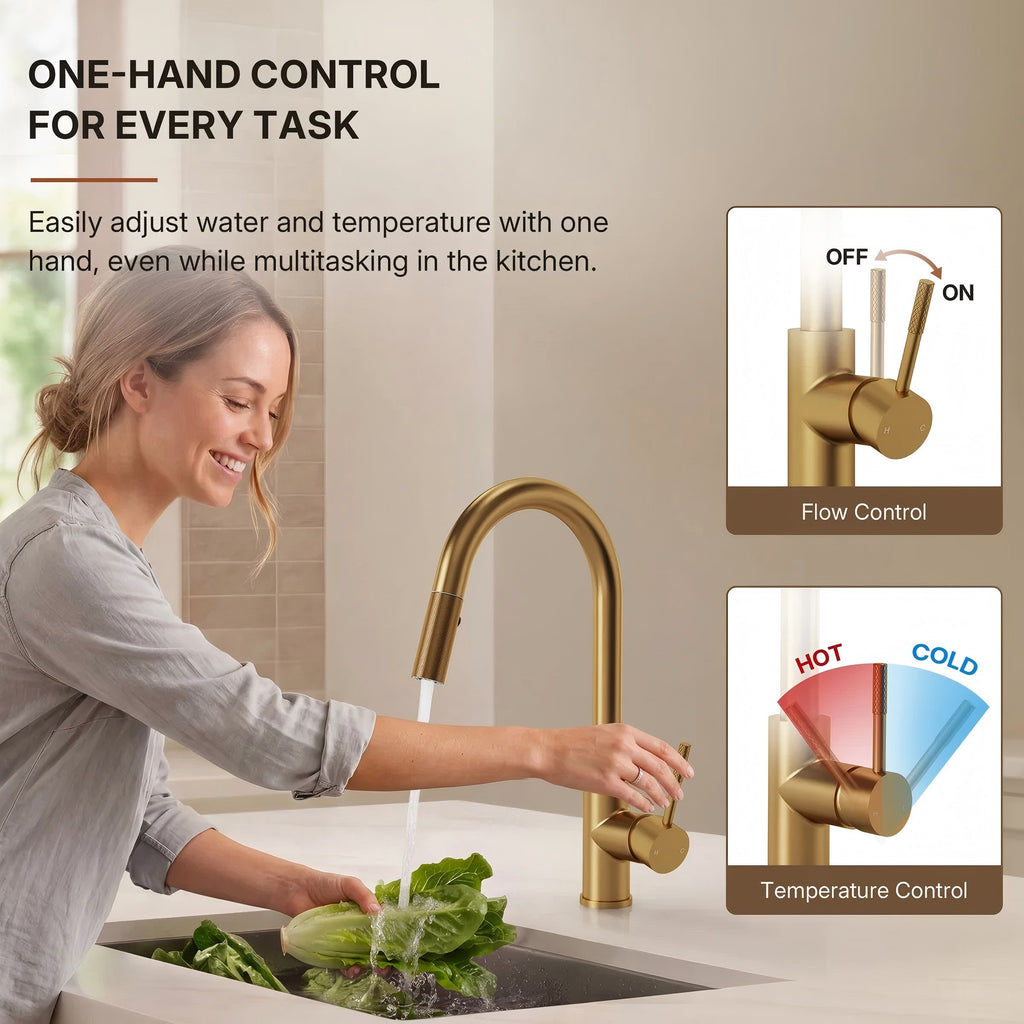 Dual Function Pull-Down Kitchen Faucet , Single Handle Sink Faucet LP013321-CF - Brushed Gold