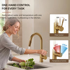 Dual Function Pull-Down Kitchen Faucet , Single Handle Sink Faucet LP013321-CF - Brushed Gold