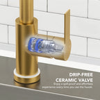 Pull Down Sprayer Kitchen Sink Faucet, Single Handle Kitchen Faucet with LED Light Base LP330088-CF- Brushed Gold