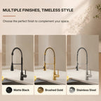 Commercial Style Dual Function Single Handle Pull Down Kitchen Faucet LP23-CF - Matte Black