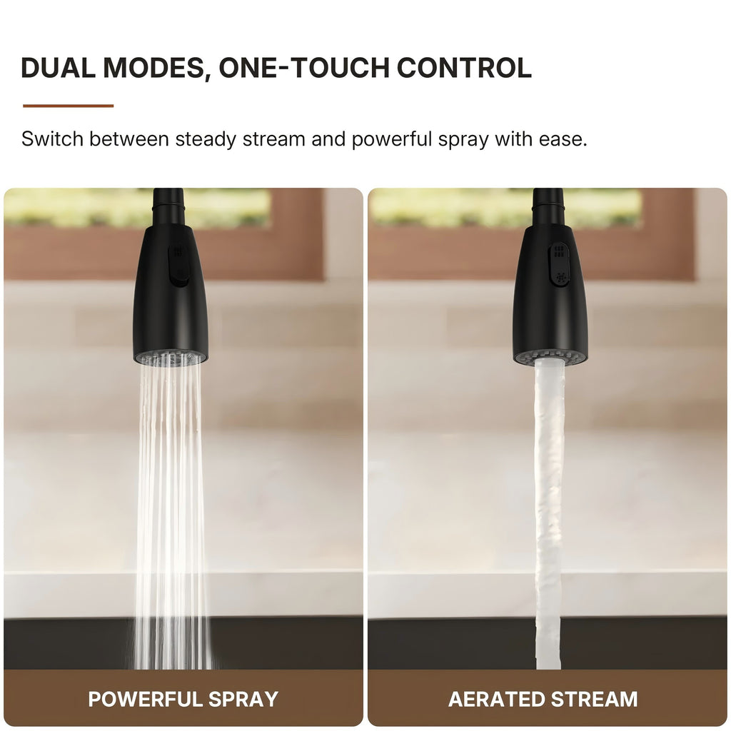 Commercial Dual-Function Pull Down Kitchen Faucet with High Arc Spring Spout LP0557-CFK - Matte Black