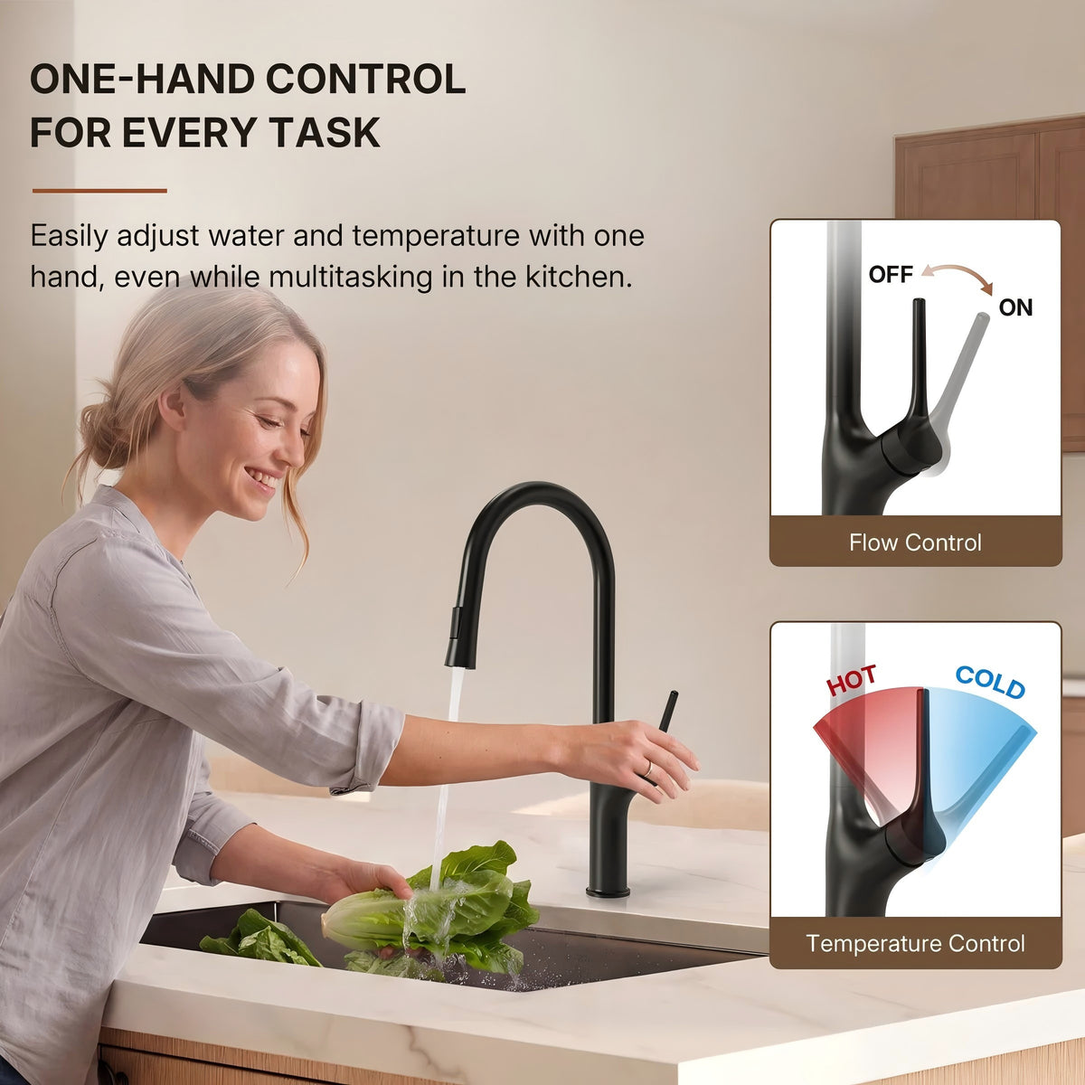 Dual-Function Single-Handle Pull-Down Kitchen Faucet LP0997-CF - Matte Black