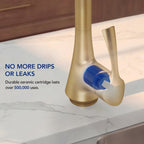 Commercial-Style 2-Function Pull-Down Single-Handle Kitchen Faucet LP0611-CF - Brushed Gold
