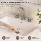 Widespread Bathroom Faucet 3 Hole, 2-Handle Bathroom Sink Faucet with Drain Assembly LP02009-YS - Brushed Nickel