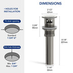 Single Hole Bathroom Faucet with Drain Assembly, Single Handle Bathroom Sink FaucetLP77658- Brushed Nickel