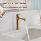 Single-Hole Single-Handle Bathroom Sink Faucet with Drain Assembly LP6603123-YS - Brushed Gold