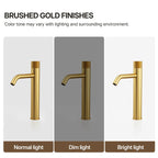 Single Hole Bathroom Vessel Faucet, Single Handle Bathroom Vessel Sink Faucet with Drain Assembly LP0223144-YS - Brushed Gold