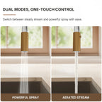 Dual Function Pull-Down Kitchen Faucet , Single Handle Sink Faucet LP013321-CF - Brushed Gold