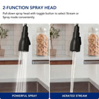 Dual-Function Single-Handle Pull-Down Kitchen Faucet with 360 Degree Swivel SpoutLP1067-CF - Matte Black