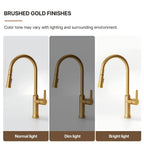 Pull-Down Kitchen Faucet with Dual-Function Sprayer, Single-Handle Sink Faucet LPL099122-CF - Brushed Gold