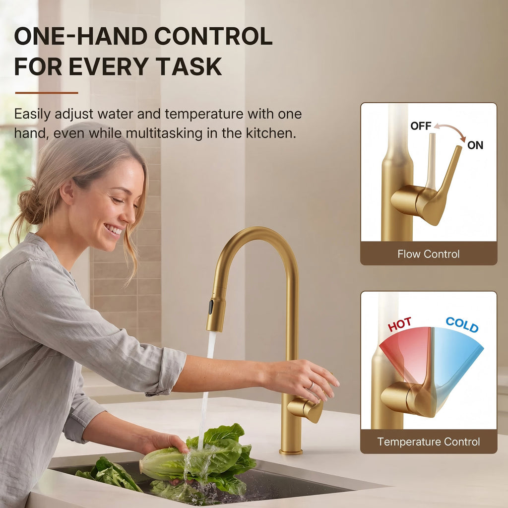 Dual-Function Single-Handle Pull-Down Kitchen Faucet with Swivel Spout LP132-CF - Brushed Gold