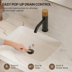 Single Hole Bathroom Faucet,Knob Single Handle Bathroom Sink Faucet with Drain Assembly LP0088-YS - Matte Black/Brushed Gold