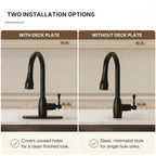 Pull-Down Kitchen Faucet with Deck Plate, Single Handle Sink Faucet with Sprayer LP099123-CFK- Matte Black