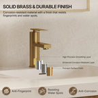 Single Hole Bathroom Faucet, Single Handle Bathroom Sink Faucet with Drain Assembly LP011235-YS - Brushed Gold
