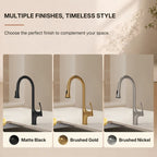 Pull-Down Single Handle Kitchen Faucet with High-Arc Spout LP0667-CF - Brushed Gold