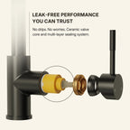 Dual Function Pull-Down Kitchen Faucet , Single Handle Sink Faucet LP9911606-CF - Matte Black