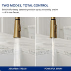 Pull-Down Kitchen Faucet with Dual-Function Sprayer, Single-Handle Sink Faucet LPL099122-CF - Brushed Gold